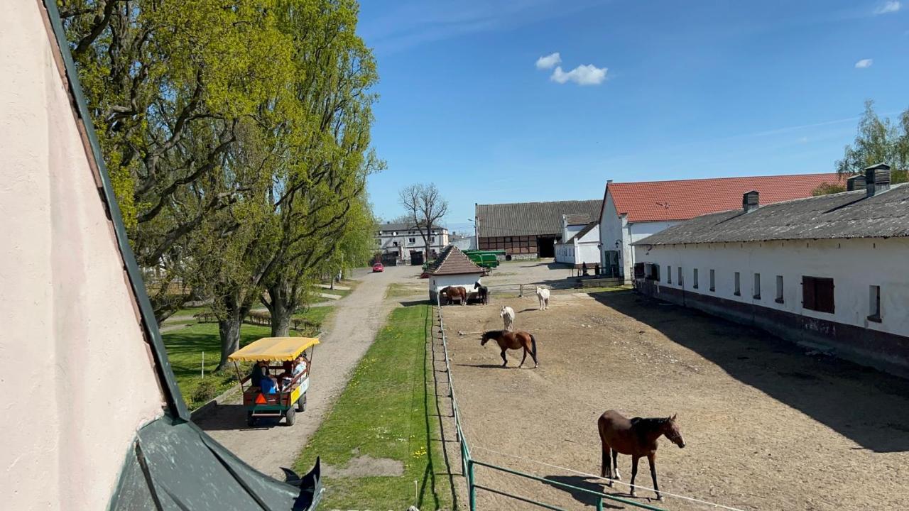 Dworek Bielin Eksteriør bilde